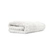 THE RAG COMPANY PREMIUM FTW TWIST LOOP MICROFIBRE TOWELS Windows / Glass